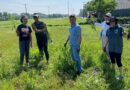 Friends of Northaven Trail Install Native Plants