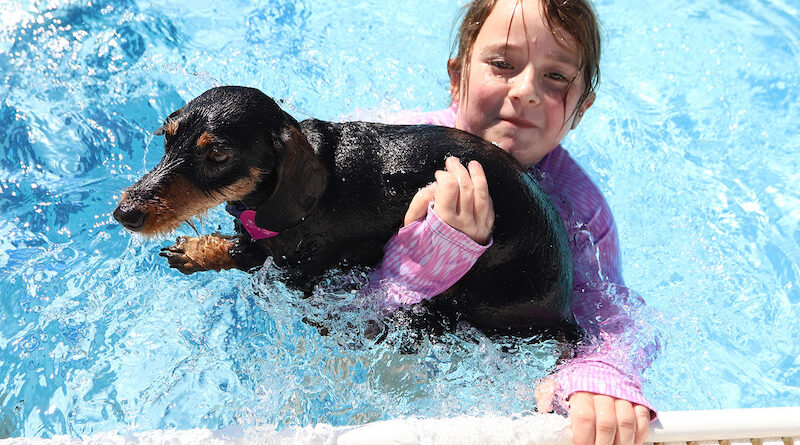 Holmes Aquatic Center Goes to the Dogs