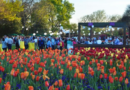 Arboretum Hosts Seventh-Annual Food, Wine Festival