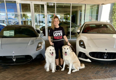 Luxury Car Dealer Unleashes Puppy Love