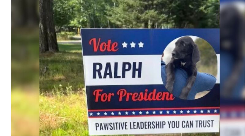 City of Dallas Offers Post-Election Sign Recycling